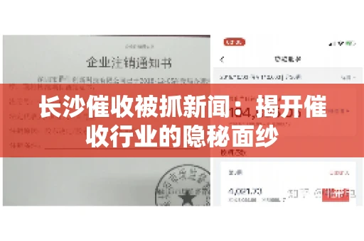 长沙催收被抓新闻：揭开催收行业的隐秘面纱