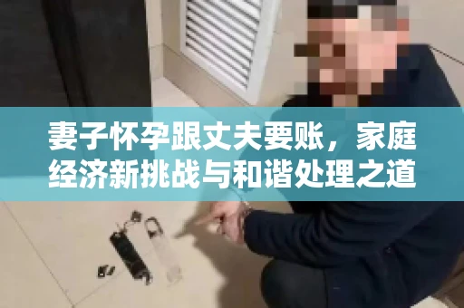 妻子怀孕跟丈夫要账，家庭经济新挑战与和谐处理之道