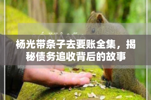 杨光带条子去要账全集，揭秘债务追收背后的故事
