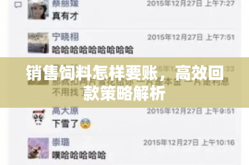 销售饲料怎样要账，高效回款策略解析