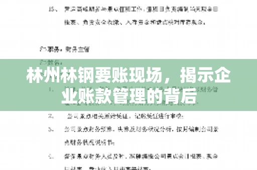 林州林钢要账现场，揭示企业账款管理的背后