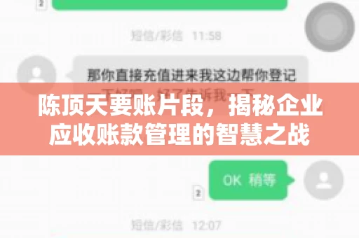 陈顶天要账片段，揭秘企业应收账款管理的智慧之战