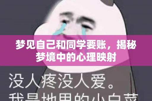 梦见自己和同学要账，揭秘梦境中的心理映射
