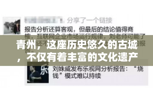 青州，这座历史悠久的古城，不仅有着丰富的文化遗产，也是商业活动频繁的地方。对于许多企业来说，应收账款的管理是日常运营中不可或缺的一环。那么，青州那里有要账的公司呢？今天，我们就来聊聊这个话题。