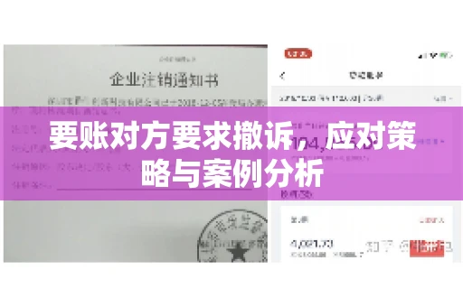 要账对方要求撤诉，应对策略与案例分析